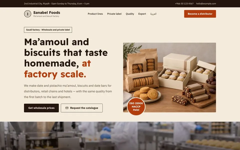 Home page of the Sanabel template demo